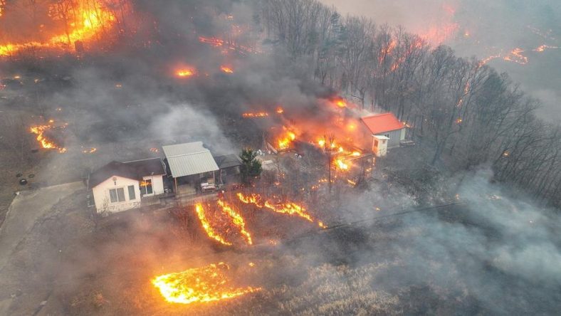 Kebakaran Hutan di Korea Selatan